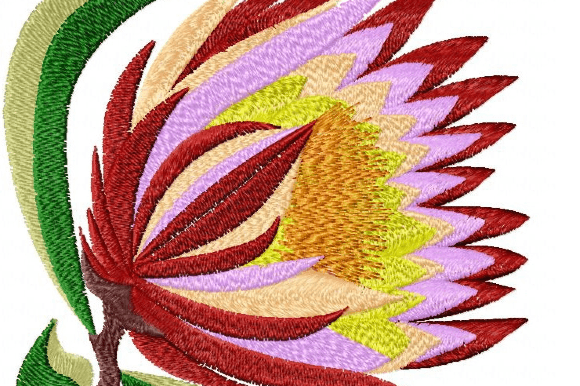 Protea Rainbow Embroidery Design